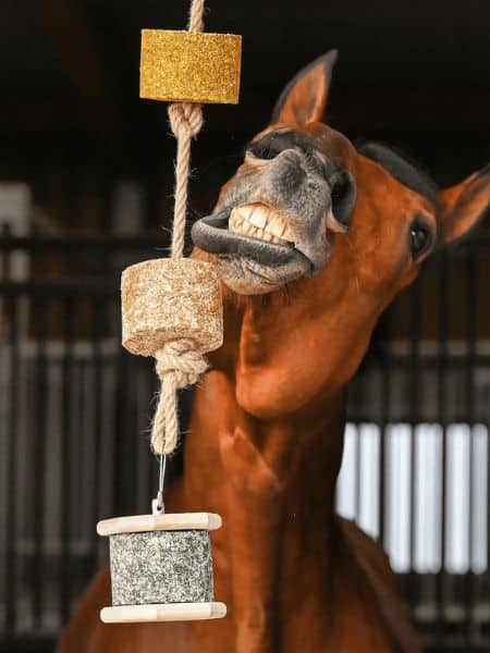 NaturalRock (2) NaturalRock