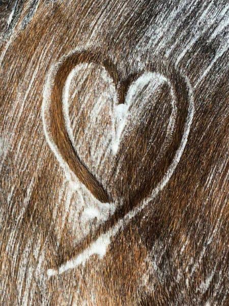 Natural Wash NaturalWash