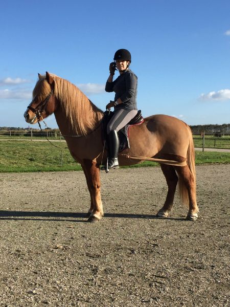 Vinur frá Klömbrum Vinur frá Klömbrum