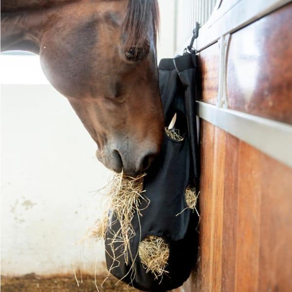 Catago hooizak (3) Catago hooizak