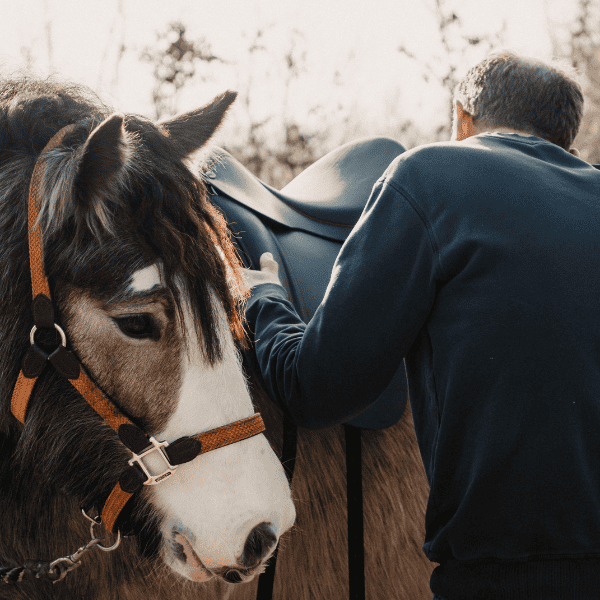 Hans van Dijk Hans van Dijk