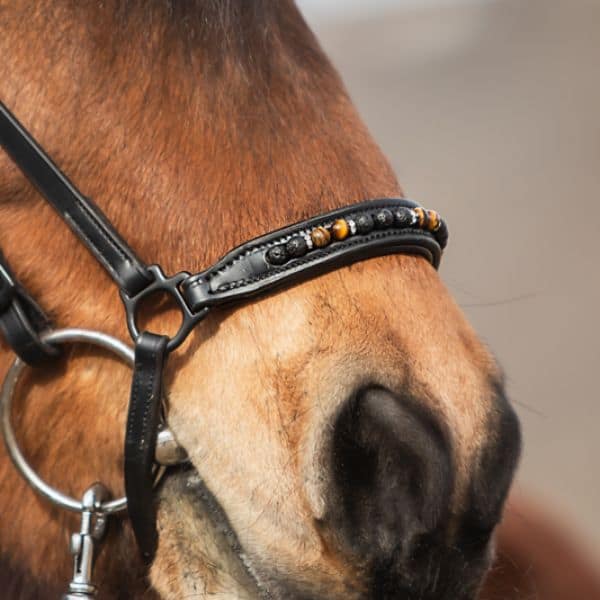 Topreiter Orka neusriem Topreiter Orka neusriem