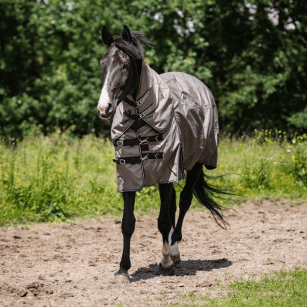Catago paardendeken