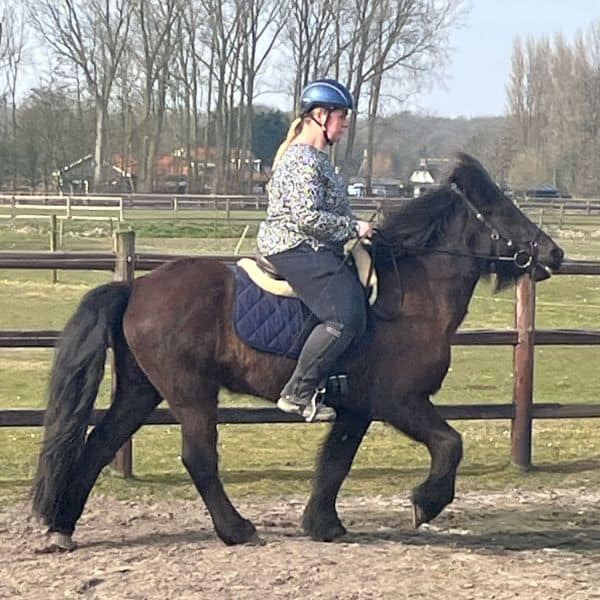 Dilja fra Kattastíg (2) Dilja fra Kattastíg