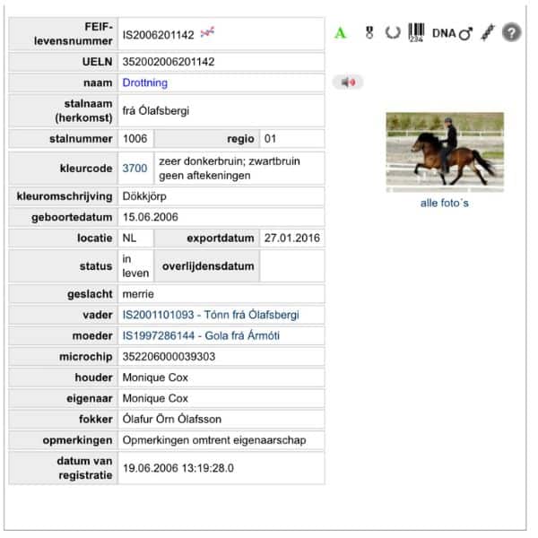 Drottning frá Olafsbergi (4) IJslander te koop via Atorka.nl