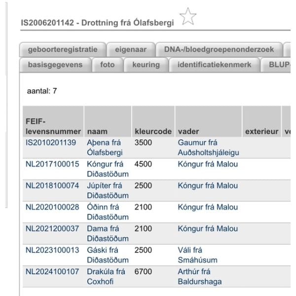 Drottning frá Olafsbergi (5) IJslander te koop via Atorka.nl