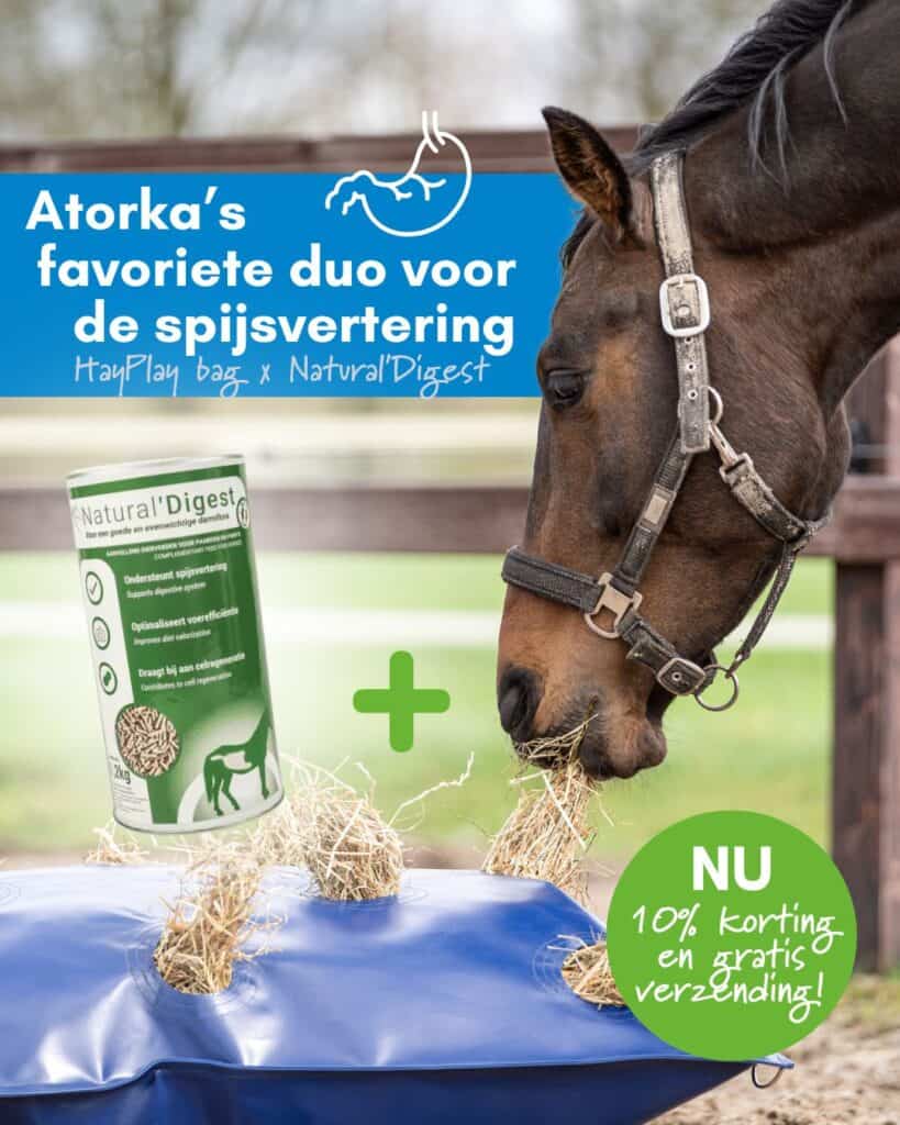 Hayplay Bag en Digest