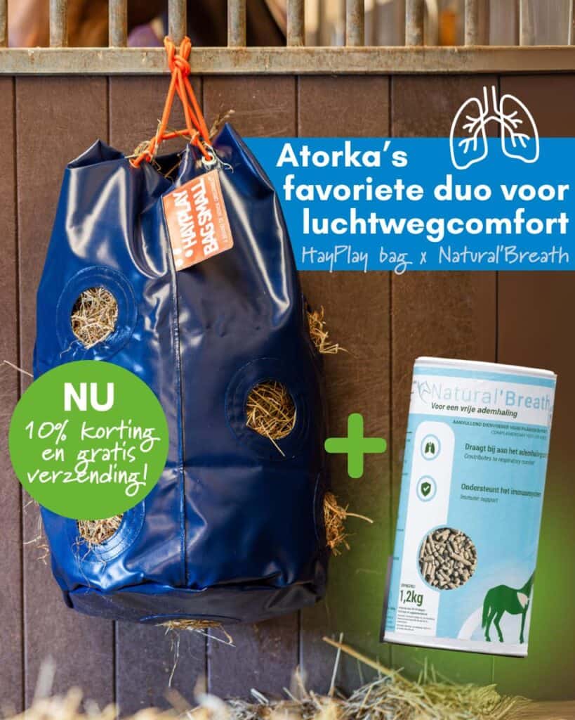 Hayplay Bag en Breath